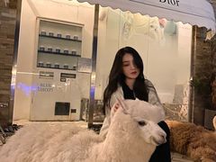 -Blue Concept Cafe&Farm·關於藍