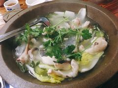 鸭嘴鱼火锅-鸭嘴鱼