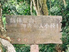 -梧桐山风景名胜区