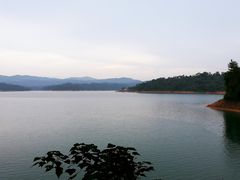 -广州市流溪河国家森林公园