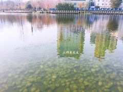 景点-后襄河公园
