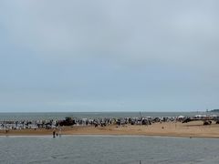 -日照海滨国家森林公园