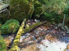 -龙苍沟森林公园