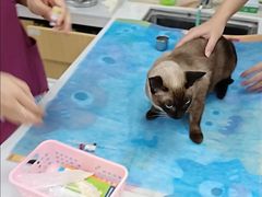 -美联众合动物医院·24h京西诊疗中心