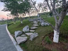 -羊山湖公园