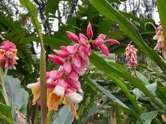 -华南国家植物园-售票处