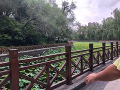 -迎泽公园