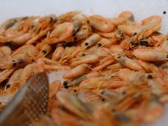 新鲜大虾-汉巴味德(大悦城店)