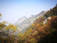 -少华山国家森林公园