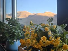 -玫瑰西餐厅.意面披萨.牛排咖啡