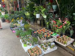 -循礼门鲜花花市(武汉循礼门店)