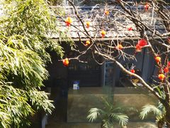 -无有景观餐厅·铜瓢牛肉·下午茶