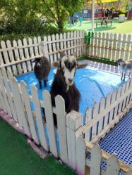 -萌宠亲子动物乐园(槐房万达店)