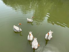 -张公山寨景区