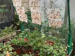 -上海大自然野生昆虫馆(东方明珠·爬宠昆虫探索中心)