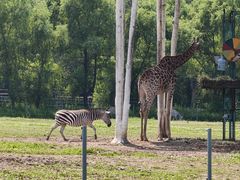 -哈尔滨北方森林动物园