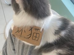 -怪兽屋·羊驼·猫咖·狗咖(俊华广场店)