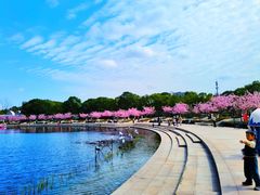 -新江湾城公园