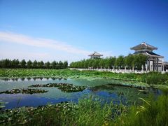 -呼兰河口湿地公园
