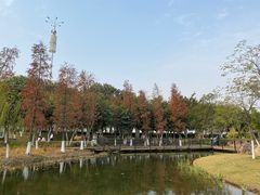 -映月湖公园
