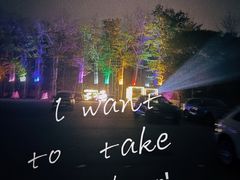 -枫花园汽车电影院(朝阳公园店)