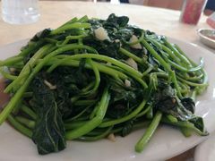 -蚝专家