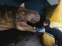 -宝燕乐园(闵行旗舰店)