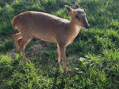 -北京野生动物园