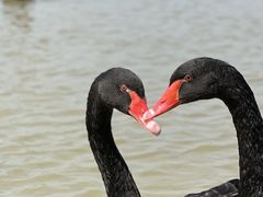 -漩门湾国家湿地公园