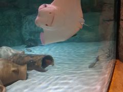 -沈阳海洋探索中心