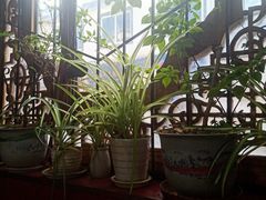 -老济南民间小吃·传统鲁菜(芙蓉街店)