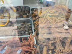 -清真·金宏兴鸭子店(明瓦廊店)