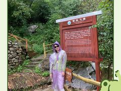 -青峰峡国家森林公园