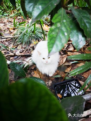 不如抽出中午的时间，散散步