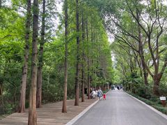 -同里国家湿地公园
