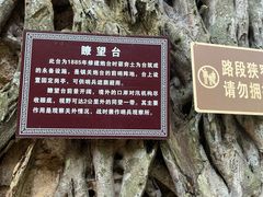 -友谊关景区