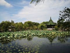 -无锡蠡湖国家湿地公园-蠡园