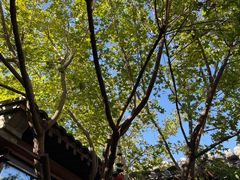 -VOYAGE COFFEE(杨梅竹店)
