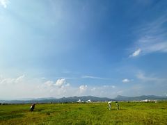 -敕勒川草原