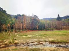 -广东外语外贸大学(白云山校区)