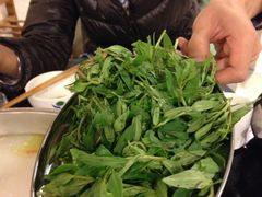 苟几叶-草墩罗非鱼庄•野生菌•腊排骨(七星街上段店)