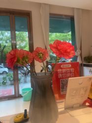 -Dr.林醫生产后修复·配方产康店(南京大厂店)