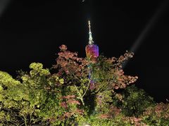-花城苑广府菜(海心沙店)