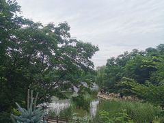 -大连植物园