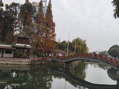 -温江公园