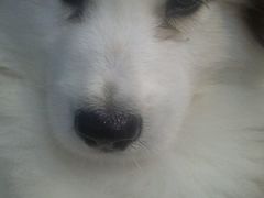 -第四军医大学西京医院·体检二部