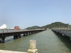 -野狸岛
