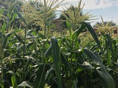 -意大利农场度假村