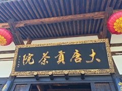 -大唐贡茶院