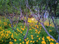 -上海市保健医疗中心